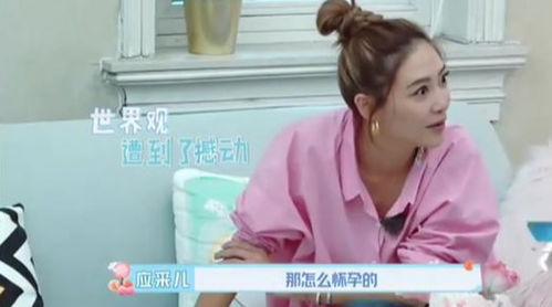 李艾老公年纪,揭秘年龄之谜，揭秘明星夫妻的甜蜜岁月