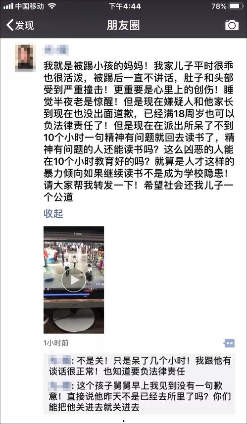 视频场纹,捕捉画面背后的艺术与科技