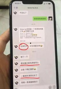 免费吃网红瓜的网站,畅享网络美食盛宴