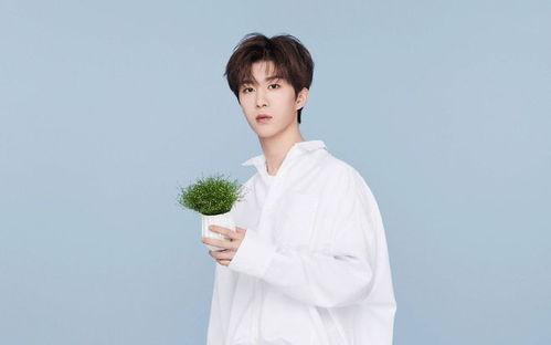 员工爆料范丞丞视频播放,揭秘娱乐圈背后的真相