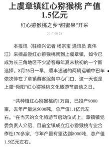 杭州日报热点爆料新闻视频,热点爆料新闻视频背后的真相