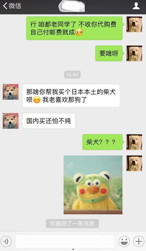 日本审讯女记录,真实记录与心理剖析