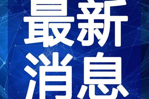 黎塘新闻爆料事件视频最新,真相大白，疑云散去