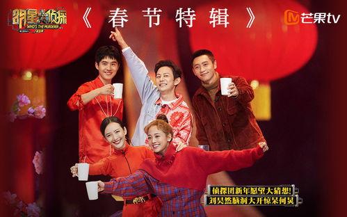 新春特辑明星记录册,明星记录册里的璀璨瞬间