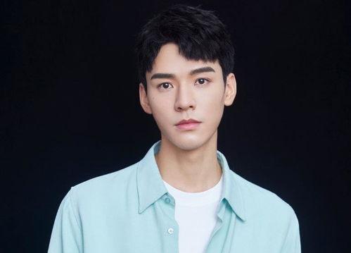 龚俊最新爆料,揭秘演艺圈幕后真相与个人成长历程