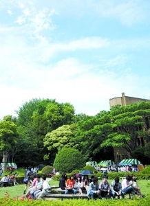 日本博士心酸,砥砺前行，探寻科研真谛