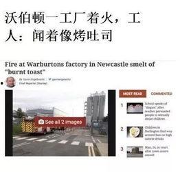 最新外网爆料新闻报道大全,最新外网爆料新闻报道大盘点