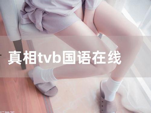 真相 tvb国语版在线播放