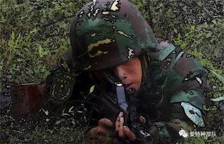部队训练的视频,部队训练风采掠影