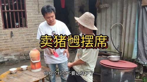卖猪搞笑视频,卖猪搞笑视频集锦