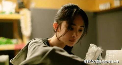 娱乐圈大型吃瓜日常小说