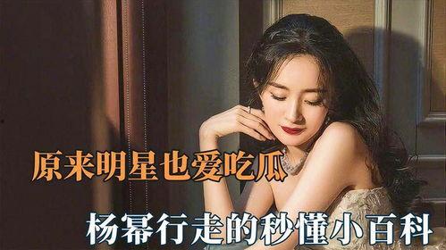 吃瓜娱乐杨幂视频下载免费