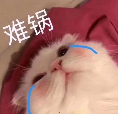 表情包里吃瓜的表情是什么意思呀,网络社交中的幽默与讽刺