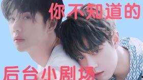 娱乐吃瓜玄学小说,娱乐圈的神秘玄学传说