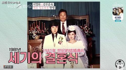 娱乐圈吃瓜 脱口秀小说