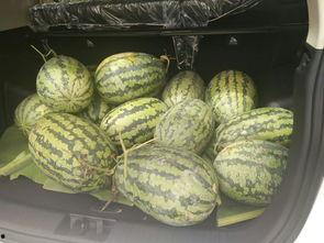 娱乐圈搬凳子吃瓜